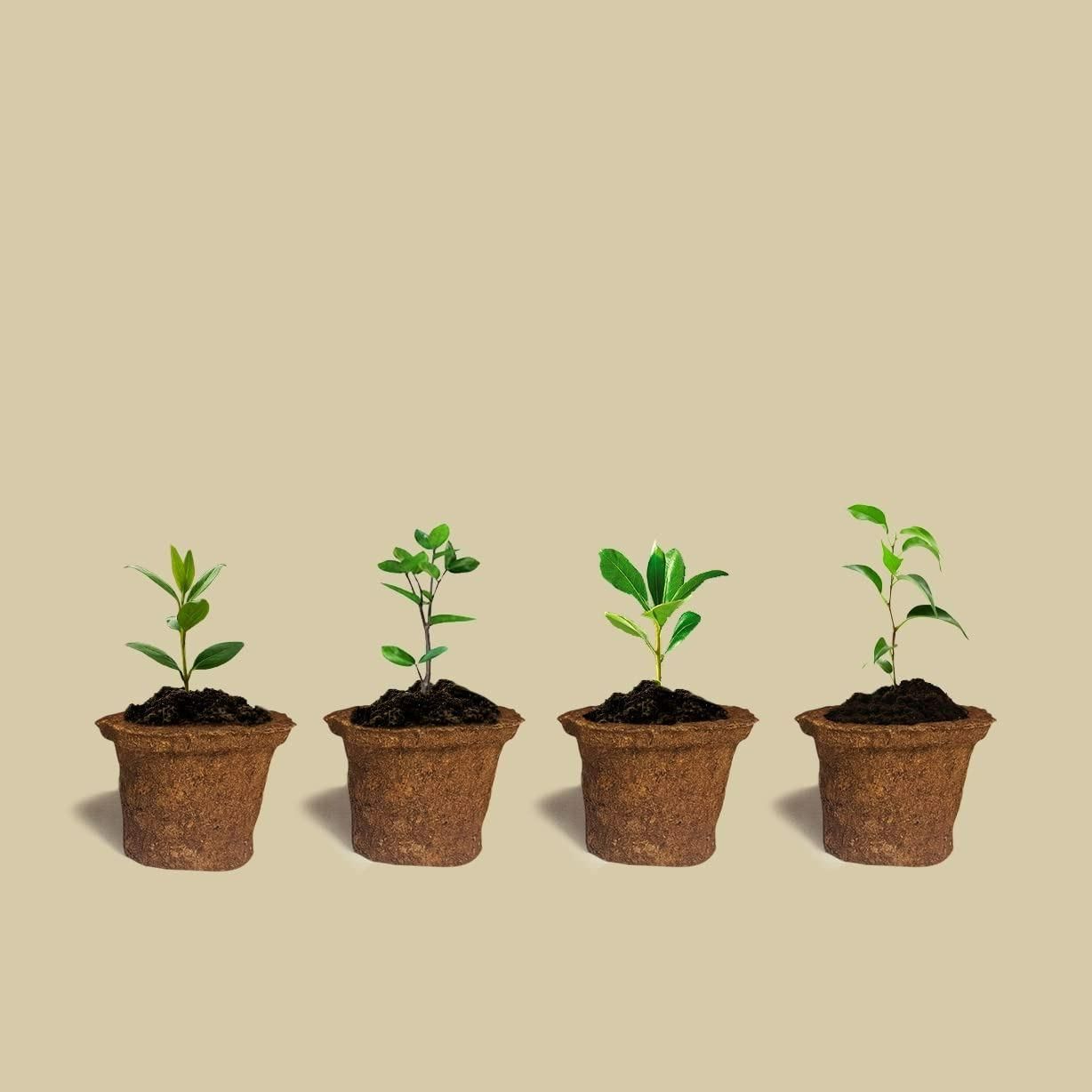 Special Soil Anti Root Breathable Plant Pot - 6 Pcs